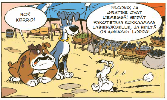 Sarjakuvan ruutu, jossa Idefix juoksee kahden koiratoverinsa luokse ja sanoo Peconix ja Gratine ovat liemessä. Heidät pakotetaan kokkaamaan Labienukselle, ja heiltä on ainekset loppu.