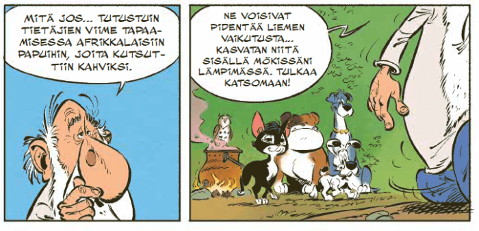 Kaksi sarjakuvaruutua, joista ensimmäisessä luominenäinen tietäjä Anjovix lähikuvassa sanoo tutustuneensa tietäjien viime tapaamisessa afrikkalaisiin papuihin, joita kutsuttiin kahviksi. Toisessa ruudussa tietäjä kävelee pois ulkona olevan taikajuomapadan ja Voittamattomien eläinlauman luota sanoen Ne voisivat pidentää liemen vaikutusta. Kasvatan niitä sisällä mökissäni lämpimässä.