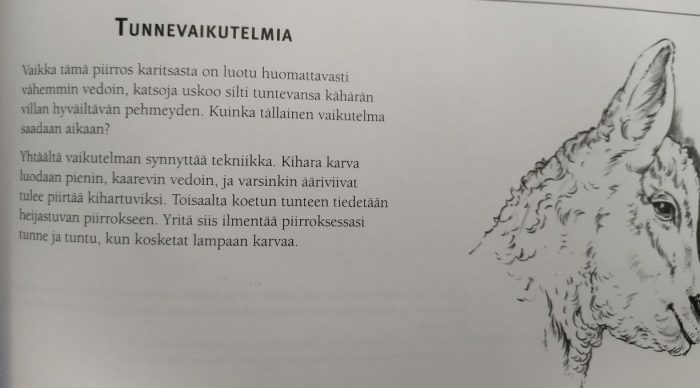 Valokuva osasta kirjan sivua, jossa on otsikkona Tunnevaikutelmia. Oikealla puolella on lyijykynäpiirros karitsan päästä, ja tekstissä käsitellään sitä, miten vähemminkin vedoin on onnistuttu luomaan kähärän villan hyväiltävän pehmeyden vaikutelma. Vaikutelma luodaan osin tekniikan avulla, mutta toisaalta tunnetila heijastuu piirrokseen, joten piirtäessä pitää ajatella, miltä villa tuntuu kosketettaessa.