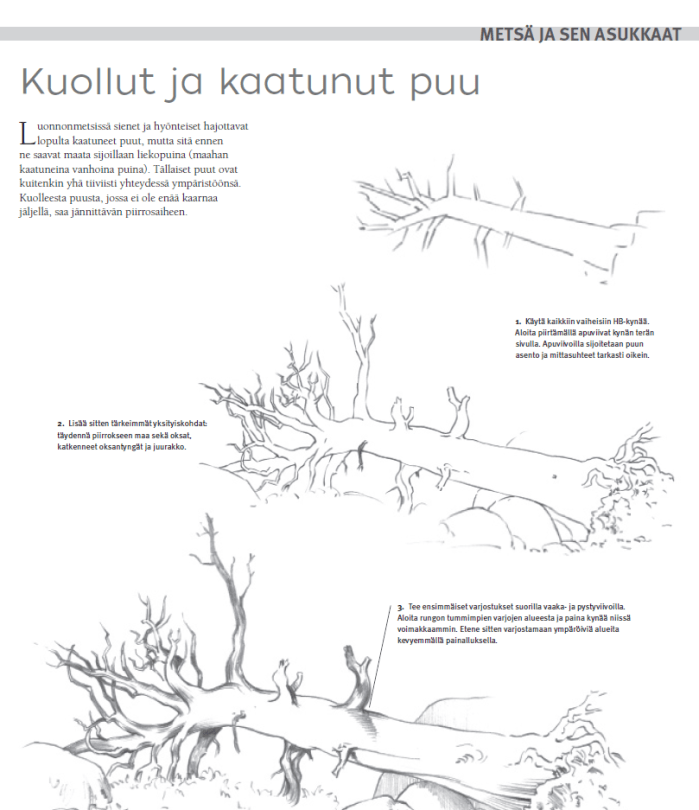 Kirjan sivu, jossa on otsikkona Kuollut ja kaatunut puu. Luvun nimi Metsä ja sen asukkaat näkyy yläkulmassa. Sivulla on kolme piirrosvaihetta puusta, karkea luonnos, tarkempi versio ja varjostettu versio. Oletettavasti tekstiä ei näe lukea kuvasta, mutta johdannossa käsitellään sitä, miten metsissä sienet ja hyönteiset lahottavat maahan kaatuneet puut. Kaarnattomasta, kaatuneesta puusta voi saada jännittäviä piirrosaiheita.